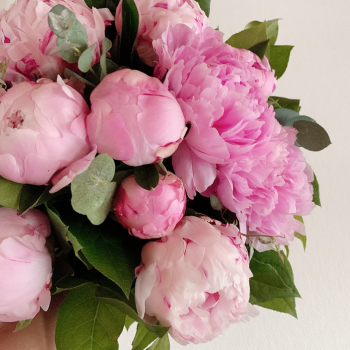 Bouquet rond de pivoines roses à offrir pour souhaiter un bon rétablissement